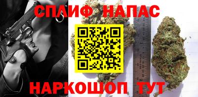 сатива Кунгур