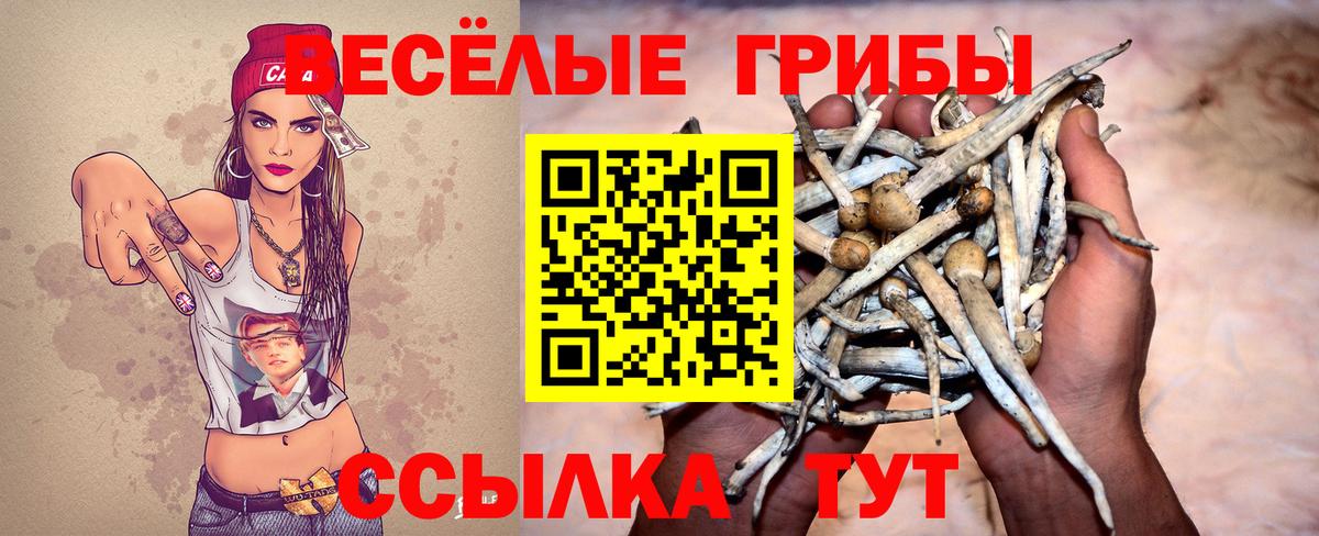 Псилоцибиновые грибы ЛСД  Вход с VPN  Галлюциногенные грибы прущие грибы  Котельники 